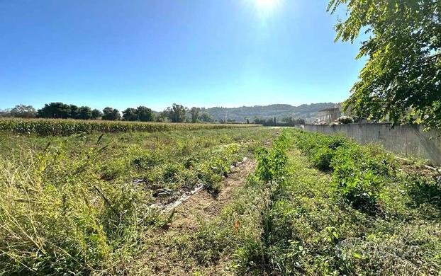 TERRENO AGRICOLO in OT TIMA POSIZIONE