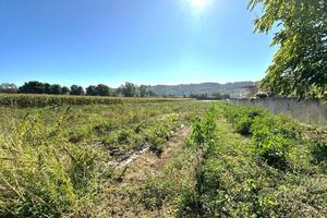 TERRENO AGRICOLO in OT TIMA POSIZIONE