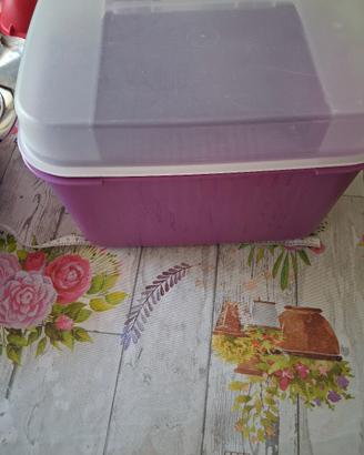 contenitore Tupperware dispensa