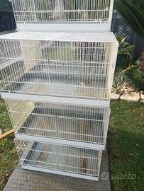 gabbie smaltate bianche 