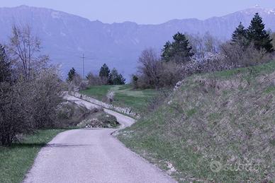 Prato per godere il fresco della montagna