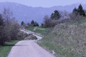 Prato per godere il fresco della montagna