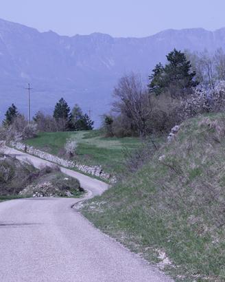 Prato per godere il fresco della montagna