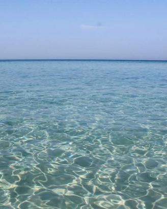 Salento Bilocale a lendinuso 100 metri dal mare
