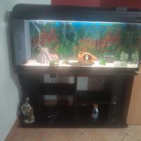 acquario 200l con mobile e accessori 