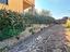 Immagine 27