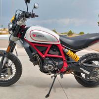 Ducati Scrambler Desert Sled