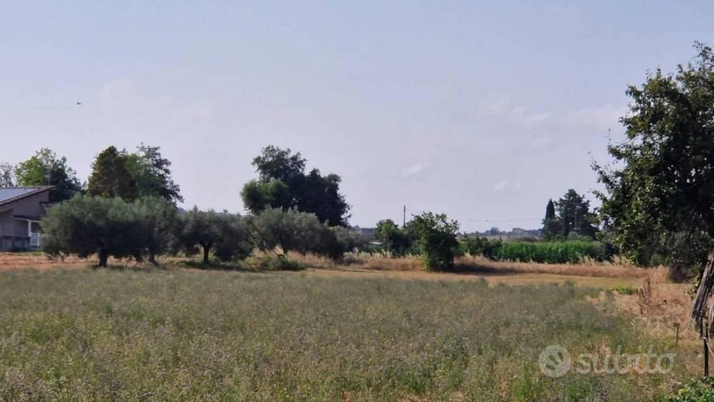 Immobile in asta di 4012 m² a Mosciano Sant'Angelo - Vista 4