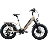 biciletta elettrica a pedalata assistita