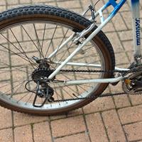 bicicletta 