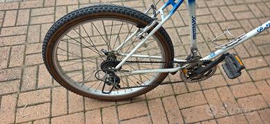 bicicletta 
