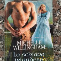 lo schiavo irlandese di Michelle willingham