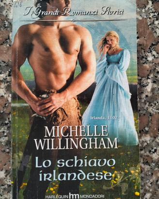 lo schiavo irlandese di Michelle willingham