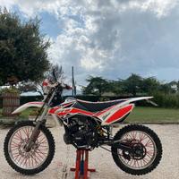 Beta RR 50 2019