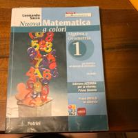 Nuova matematica a colori 1