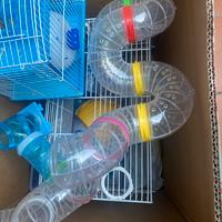 Fieno e 2 gabbiette per criceti