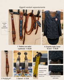Accessori equitazione usati