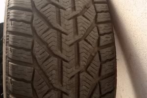 Pneumatici invernali 