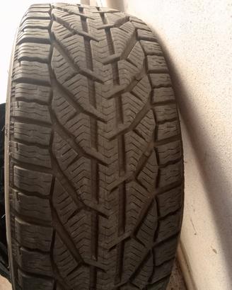 Pneumatici invernali 