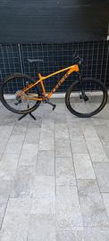  mtb trek 