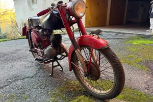 Benelli Leoncino 125 sport