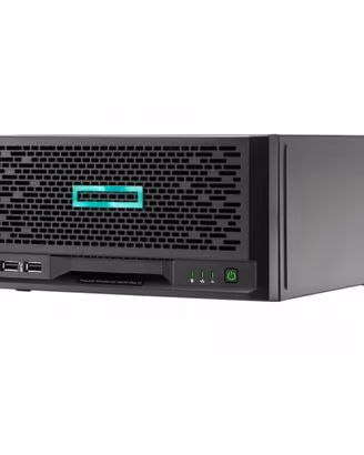 HP MicroServer Gen10 Plus v2  32GB ECC  i5-10500e