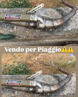 Giannelli revers piaggio