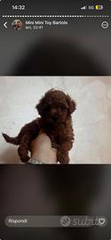 Baby mini toys