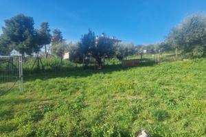 Terreno a Città Sant'Angelo (PE)