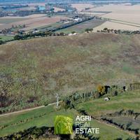 Terreno agricolo collinare di 10 ettari