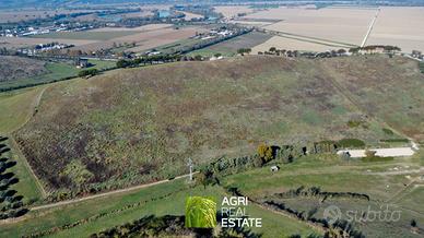 Terreno agricolo collinare di 10 ettari