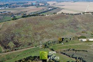 Terreno agricolo collinare di 10 ettari