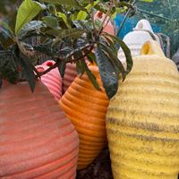 boe  decorative giardino