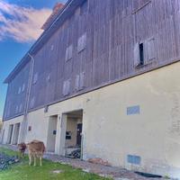 Casa di 40 mt quadri