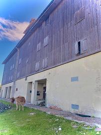 Casa di 40 mt quadri