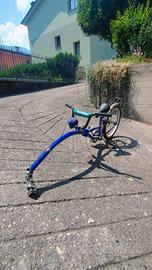 Bici appendice / cammellino per bambini
