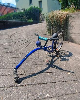 Bici appendice / cammellino per bambini