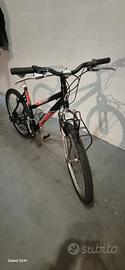 Mtb LEGNANO Matrix