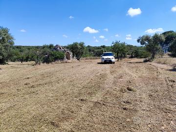 Vendita terreno con trullo