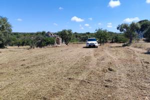 Vendita terreno con trullo