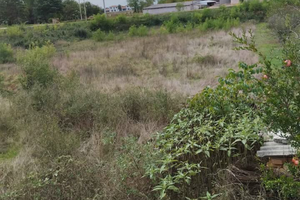 Terreni agricoli boschivi costruzione Istria