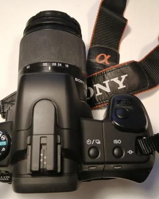 Sony Alpha 200