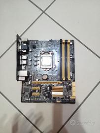 Motherboard/ Scheda madre Asus 3.0 