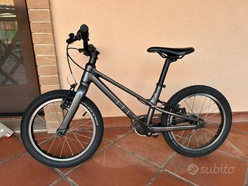 Specialized bimbo