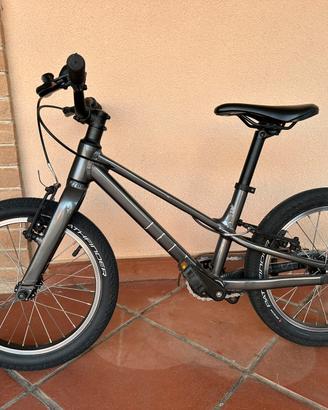 Specialized bimbo