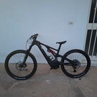 emtb specialized turbo levo
