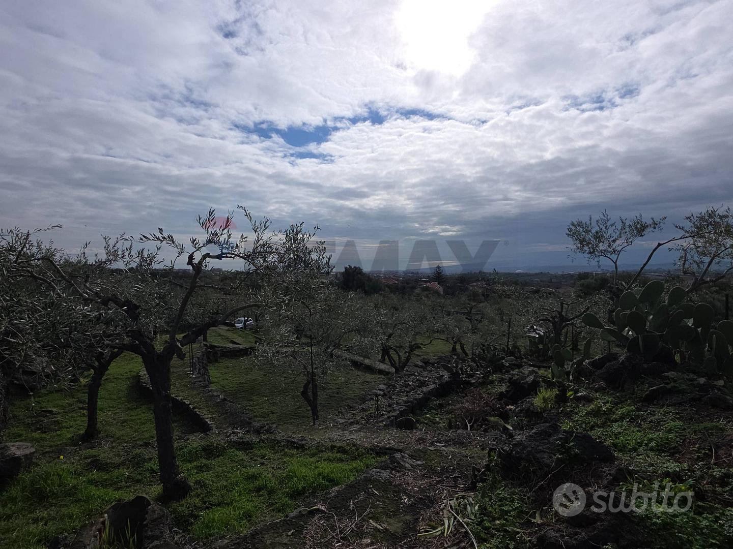 Terreno - San Pietro Clarenza - Vista 5