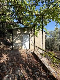 RUSTICO A PALIANO