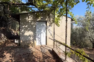 RUSTICO A PALIANO
