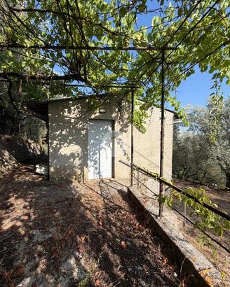 RUSTICO A PALIANO